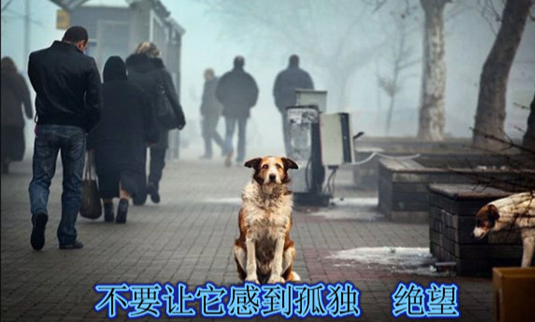 黔西南黔西南爱影圈微博微信转发案例